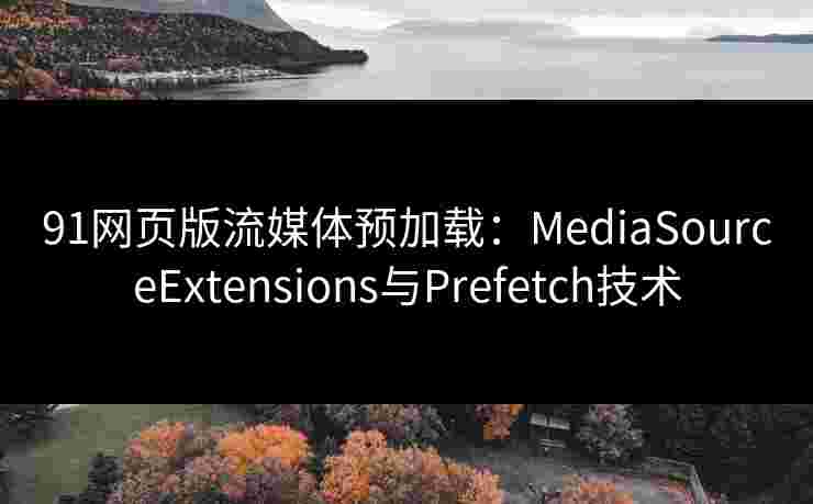 91网页版流媒体预加载：MediaSourceExtensions与Prefetch技术