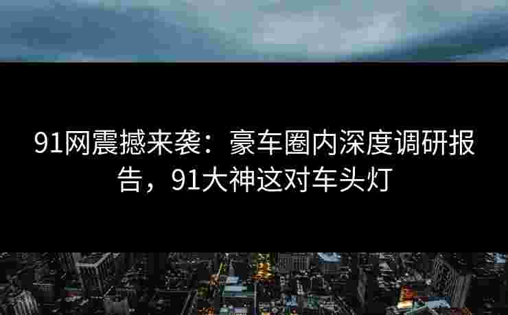 91网震撼来袭：豪车圈内深度调研报告，91大神这对车头灯