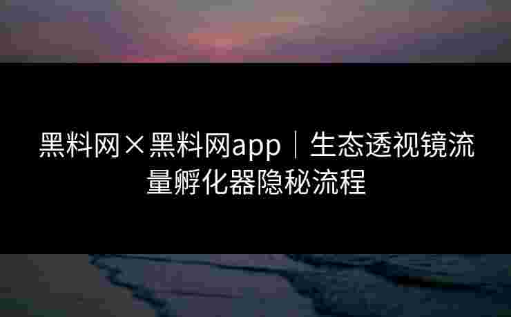 黑料网×黑料网app｜生态透视镜流量孵化器隐秘流程