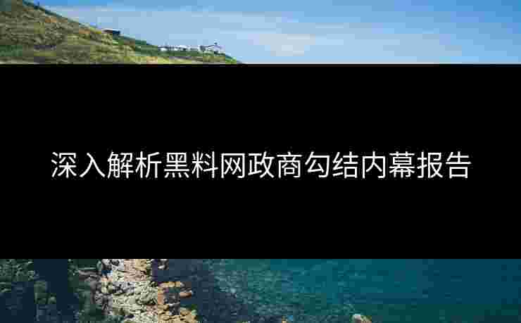 深入解析黑料网政商勾结内幕报告